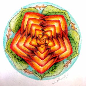 Roos mandala beginners