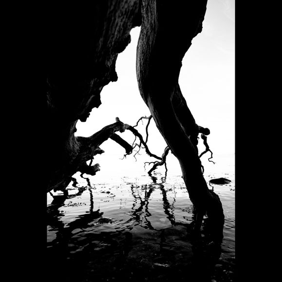 mer shadow