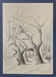Stångån 5/6 -11