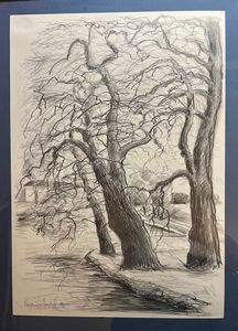 Stångån 28/4 11