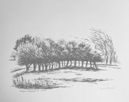 stångån 17