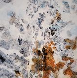 Microplast / oil on plate / 120x120 cm / 2020
