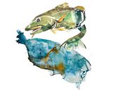 broken bottle and fish_2