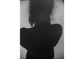 Billede1