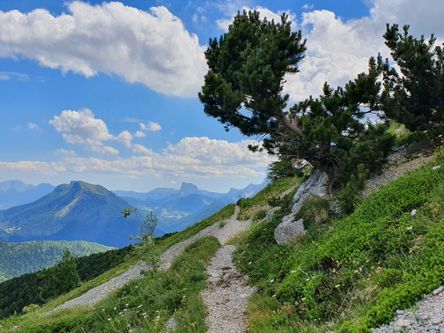 Le Vercors