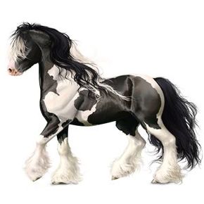 "Salt and Pepper" Draft horse 50gp