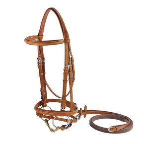 Bit and Bridle 2gp