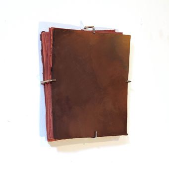 Gouache on paper choccolate on rose