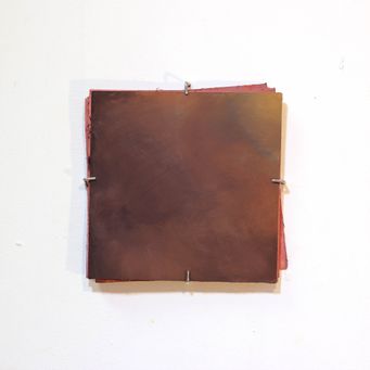 Gouache on paper choccolate on rose