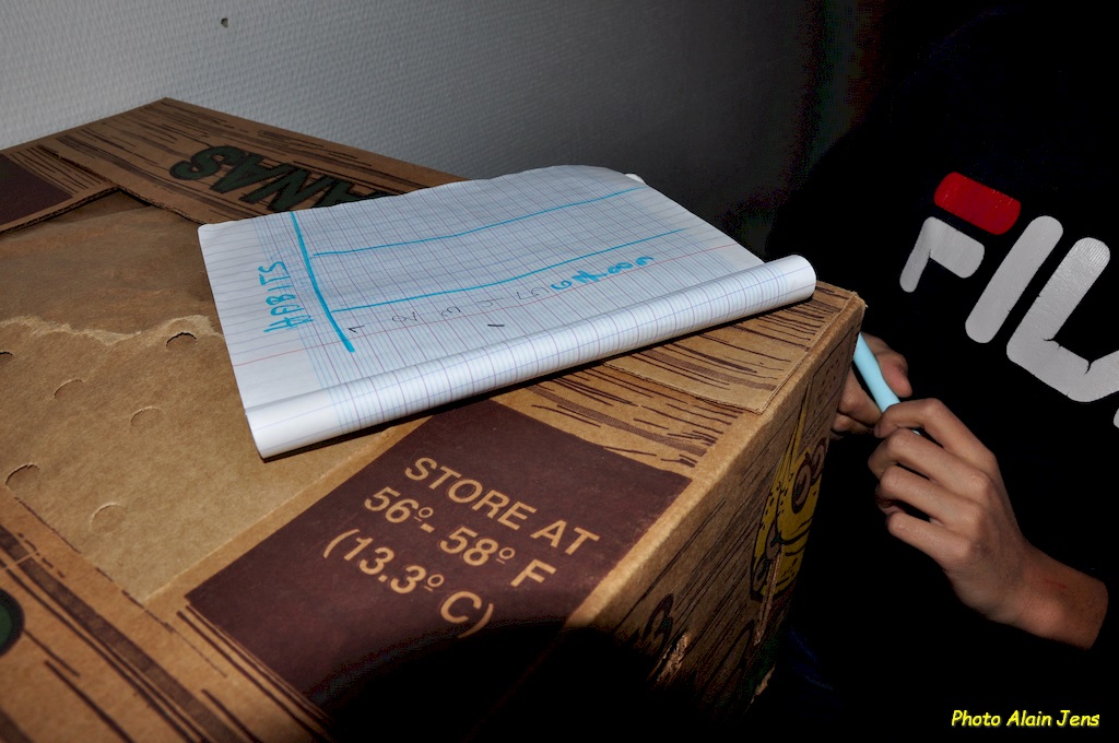 06 - Chartres - Cht -  20.01.20 (220) 