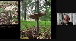 Skärmavbild 2021-09-06 kl. 11.17.04