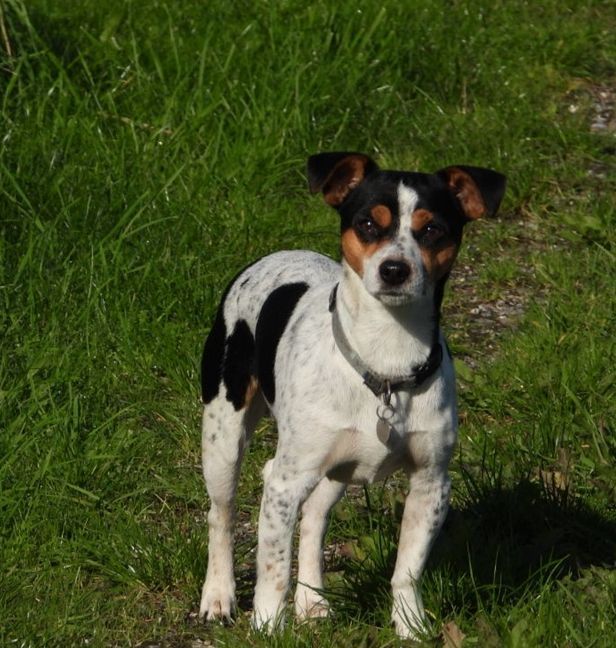 Max