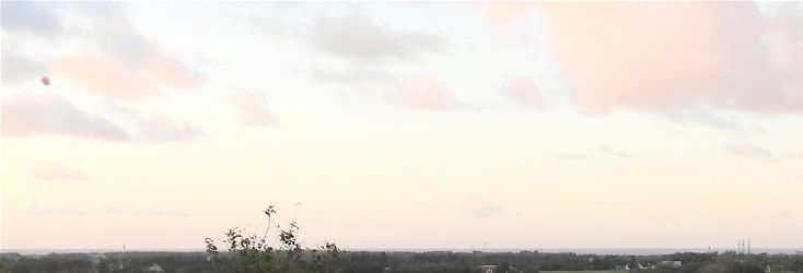 Udsigt mod nordøst med Horne kirke. The view to the North East with Horne Church