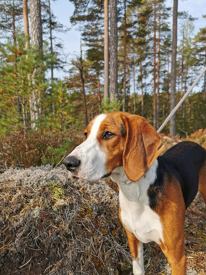 Vilhelmine 6 måneder.