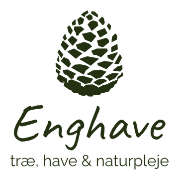 Enghave