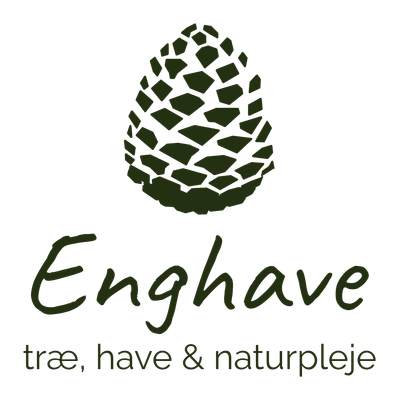 Enghave