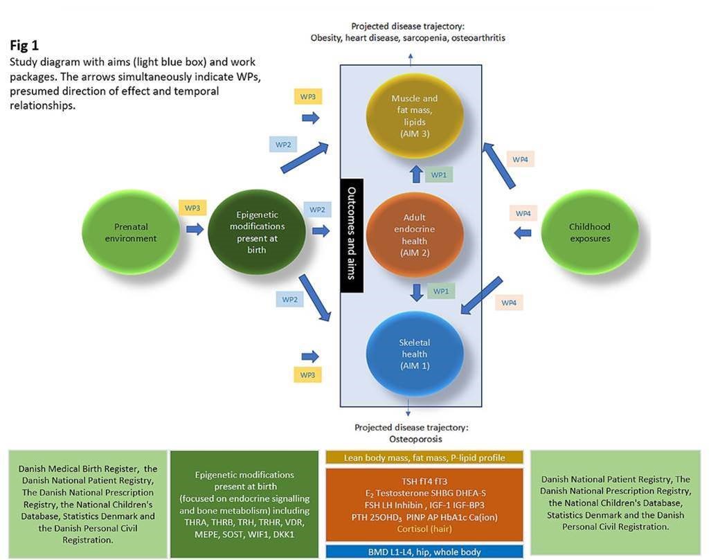 Epipeak study diagram