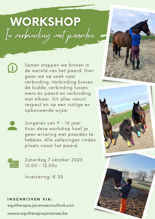 In verbinding met paarden