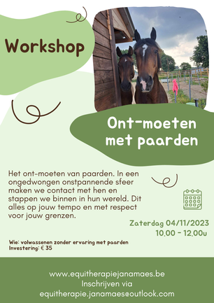 Workshops volwassenen