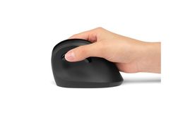 K75501EU1