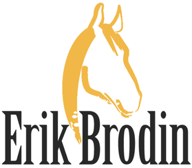 Erik Brodin