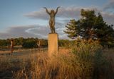 The Sun Girl