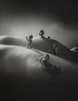 Oasis