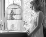 Captive freedom