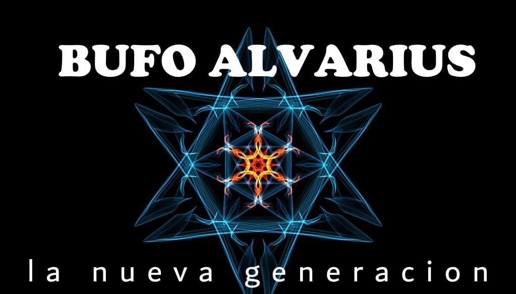 bufo alvarius españa