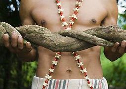 Chaman de Ayahuasca Español