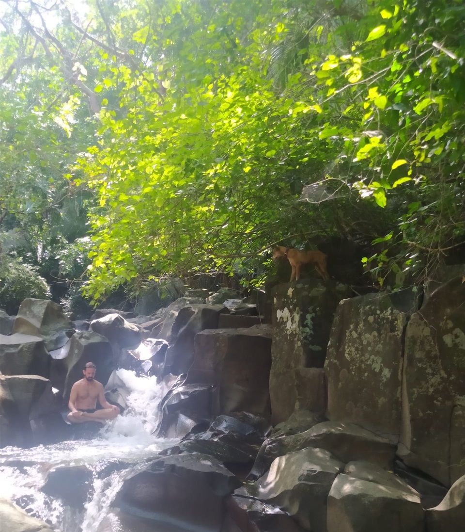 Ayahuasca - Bufo Alvarius - Yopo - Kambo- Sassafras - Shamadi - Vision - Kambo - Meditacion 