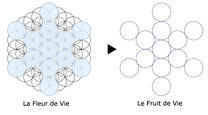 fruit de vie signification