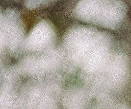 unsplash_XDt4MuJ58LI