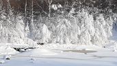 Vinter vid fiskedammarna