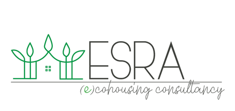 Esra - Consultancy 