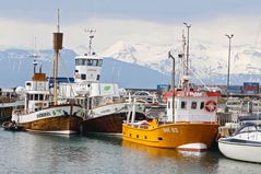 D5 01 Husavik