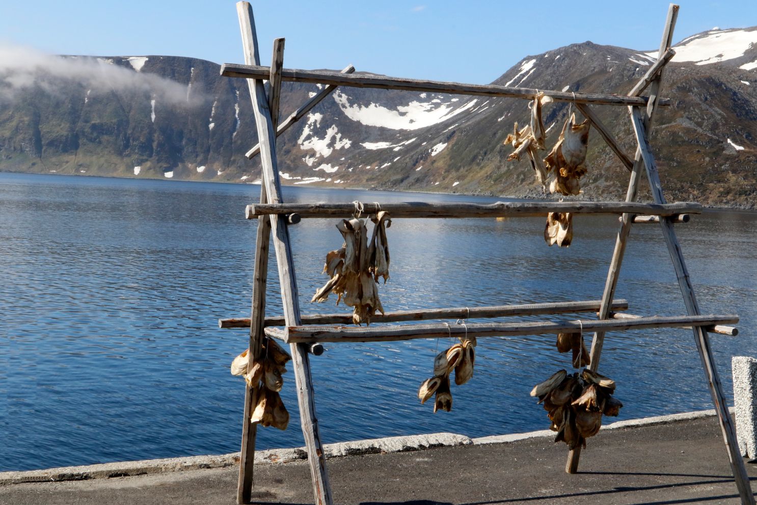 15 Tørfisk i Honningvåg
