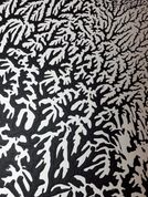 Fractal study detail