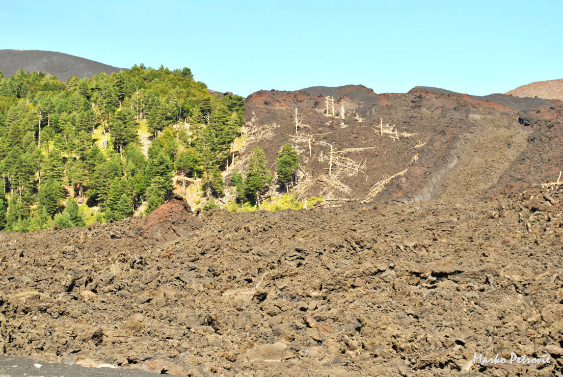 Lava from 2002 eruption