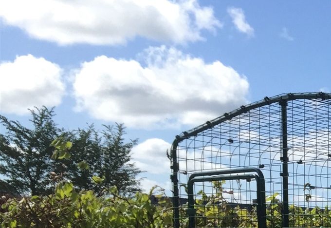 Løbegården, hvor Frej nyder udelivet i trygge rammer.