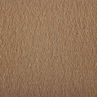 Beige - 0205