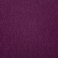 Plum - 0524
