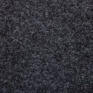 Charcoal - 0978