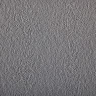 Ash Grey - 0939