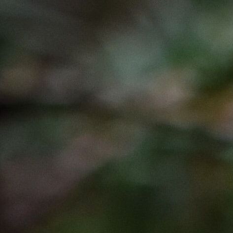 Mose i naturen
