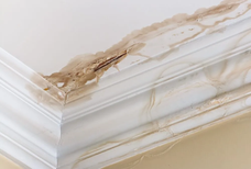 How-Tell-Pipes-Leaking-Behind-Wall.jpg___serialized1