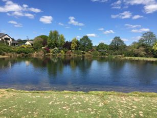 Anchor Lake