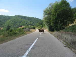 7756525_orig