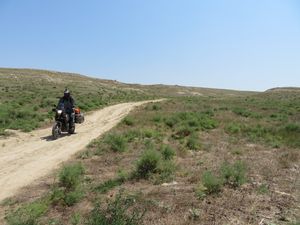 IMG_0891