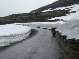 IMG_2958